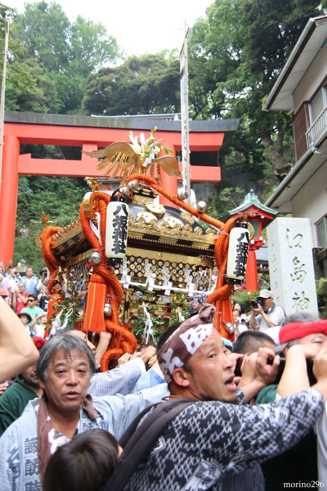 江の島・天王祭：神輿の海上渡御』藤沢・江ノ島(神奈川県)の旅行記
