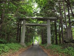 １３：５０
道路から一歩入ると、参道はうっそうとした森に囲まれています。