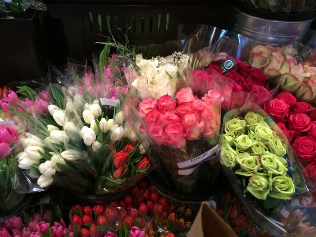 こんなお花をいつも部屋に飾っていたいなぁ〜