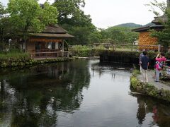 せっかくなので忍野八海も少し廻ってみました。
天然記念物である「忍野八海」は、富士山の伏流水に水源を発する湧水池です。