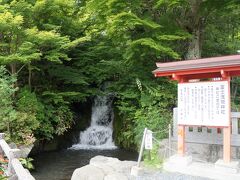 およそ五千坪の境内は緑樹鬱蒼と繁り樹間からは四季折々、野鳥のさえずりが聞こえます。