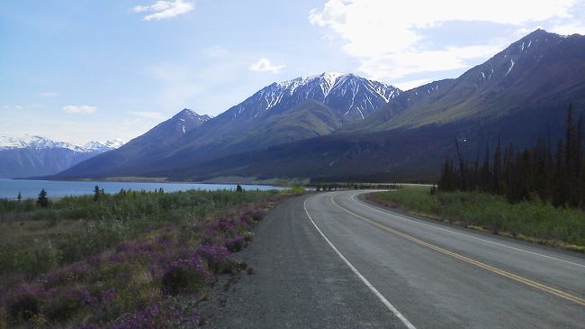 アラスカ・カナダユーコンドライブ旅行（その４）　フェアバンクス→（国境）→ホワイトホース