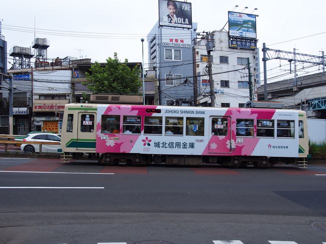 幼馴染と行く 都電荒川線 小旅行 締めは巣鴨でグルメ三昧 大塚 巣鴨 駒込 東京 の旅行記 ブログ By へびおさん フォートラベル