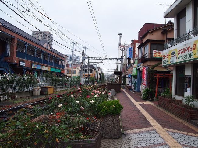 停留所周辺。<br /><br />因みに沿線を彩る薔薇は、荒川車庫停留所を過ぎた辺りから現れ始めたと思います。