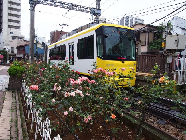 幼馴染と行く 都電荒川線 小旅行 締めは巣鴨でグルメ三昧 大塚 巣鴨 駒込 東京 の旅行記 ブログ By へびおさん フォートラベル