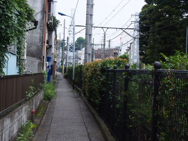 線路沿いに戻ってきました。