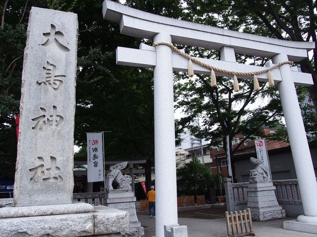 こちら、大鳥神社という神社でした。<br /><br />後で調べたら、鎮座1200年を超えた非常に古い神社ということが分かりました。<br />「ヤマトタケル尊の御魂が白鳥になってあらわれたので鳥明神として祀った」と社伝にあるそうです。<br /><br />有名な白鳥伝説ですね。<br /><br />ただ、大鳥神社と巾着の関係は分からなかったです・・・