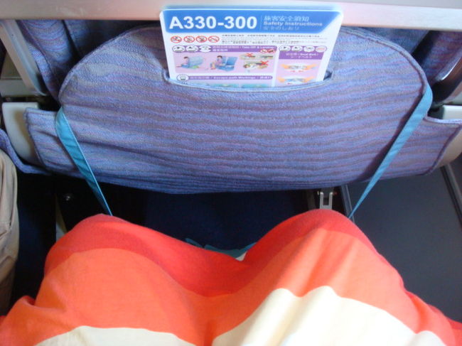 私です。身長１５５センチ。なんとなく窮屈さがあります。とは言っても格安旅行のエコノミーですから仕方がありません。しかも機内食も選ぶことができず「魚しかありません」と言われ・・・。