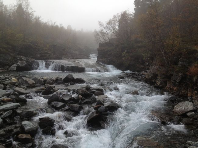 霧のなかを１時間ちょっと歩いて、滝に到着です。<br />急流です。<br />水の音しかしません、とっても静か。