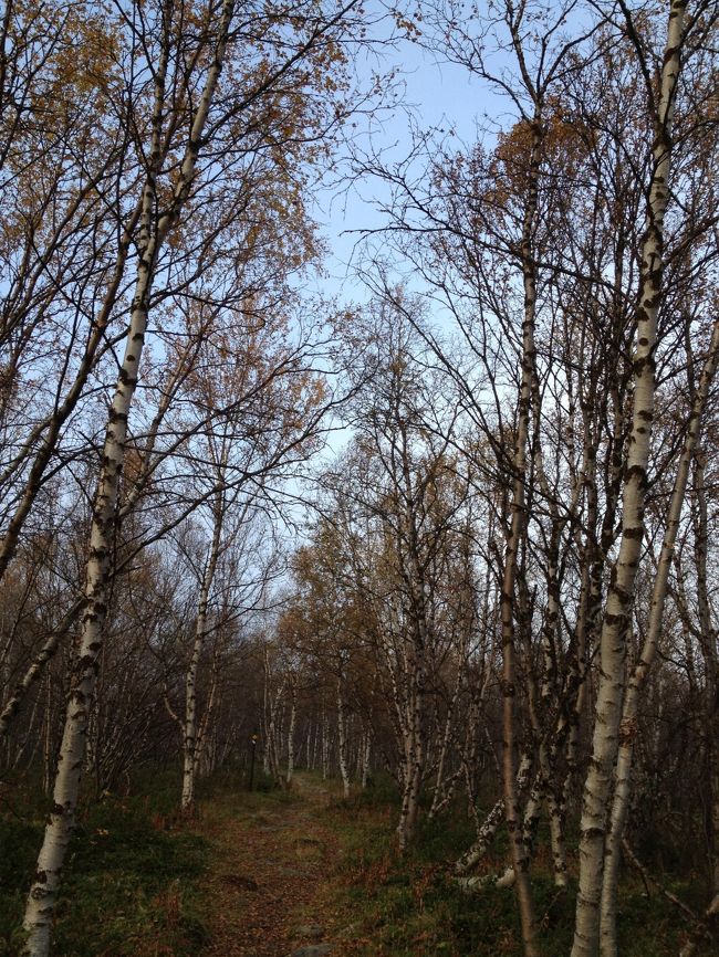 かえり道、だんだん天候が回復してきました。