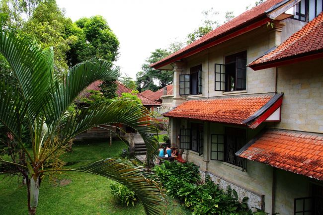 庭には休憩できるベンチもあるので、目が疲れたら一休み。