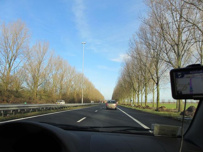 これって、やっぱり防風林なんですかね？