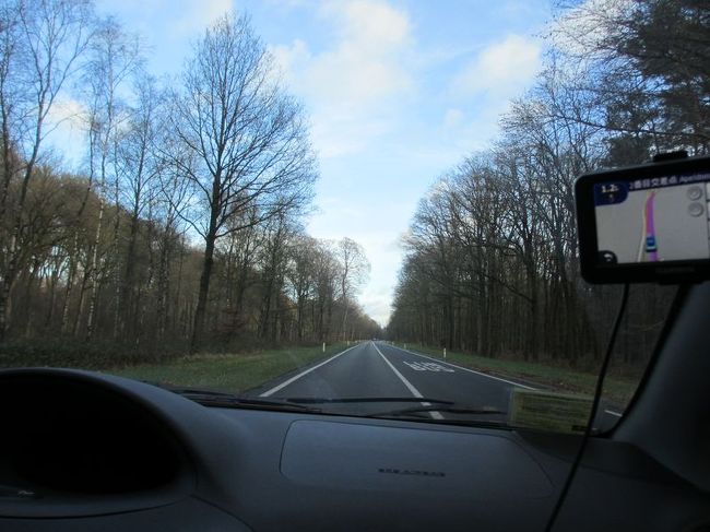 木々の生い茂る道をどんどん進みます。<br />これから行く美術館は、ホーヘ・ウェルヘ国立公園内にあるんです。<br /><br />この先に公園の入り口があり、そこで入場券を購入すると、パーキングへ行く道のゲートを開けてくれました。<br />（公園と美術館の両方のチケットがセットになっていて16.4ユーロ）