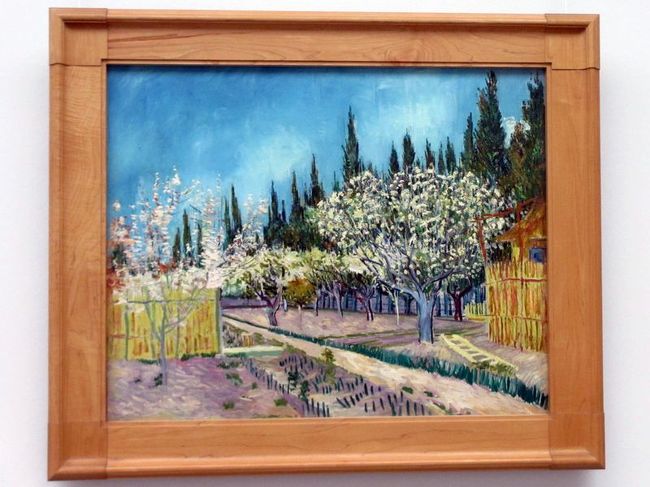 「糸杉で囲まれた果樹園」