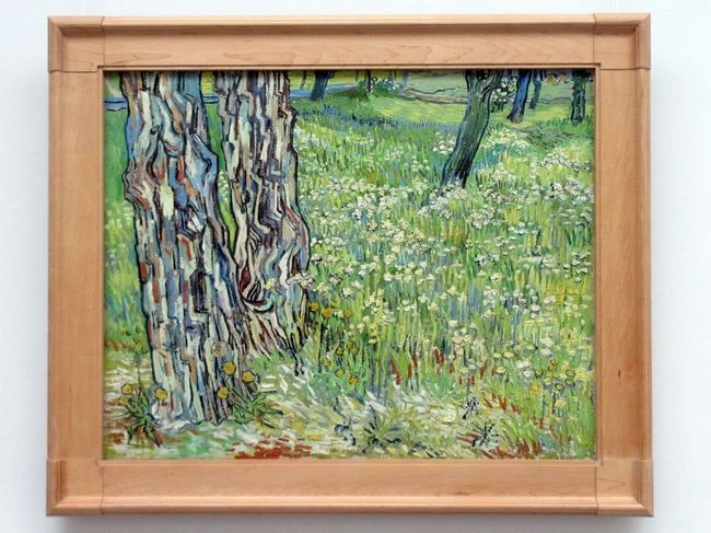 「草むらの中の幹」