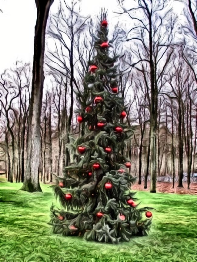 今回は、写真が少なかったので、先ほどの写真を加工してみました〜。<br />ゴッホっぽくないですか？(笑)