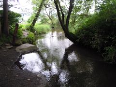 カッパ淵。
本当にカッパが出てきそうな雰囲気です。
雨が降っていなければもっと水が綺麗だったとか・・・残念！

