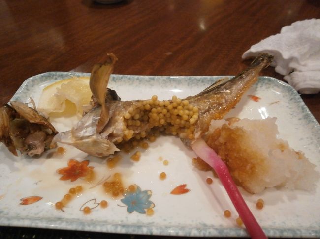 秋田市内居酒屋「うみひこ」駅前本店に行きました。<br />千秋公園（久保田城址）のお濠り向いにあります。<br /><br />男鹿の岩ガキや、近海のお刺身、それに比内地鶏の炙り焼きも美味しかったんですけど、最高に美味しかったのはハタハタ焼き。<br />ブリ子と呼ばれる卵は食べるとブリブリッとしてとても美味しかったです。
