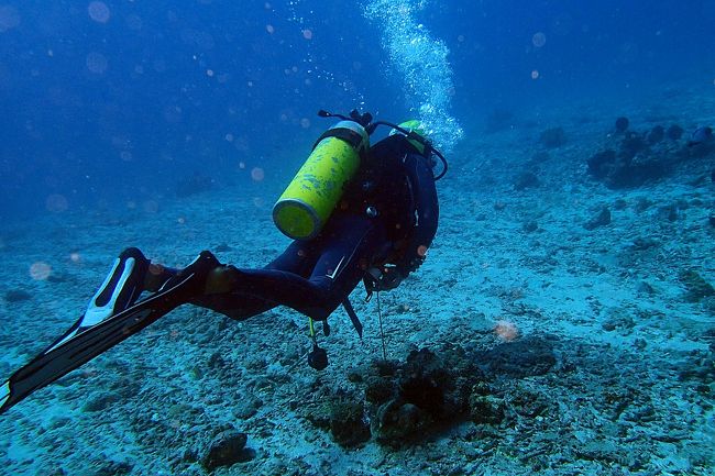 日本人インストラクターとのマンツーマンファンダイビングツアーがスタート。