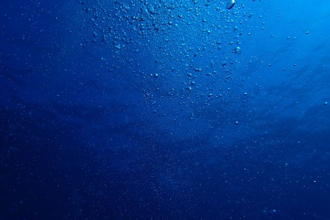 9：35から1本目、ドロップオフ・35分間、19ｍのダイブ。