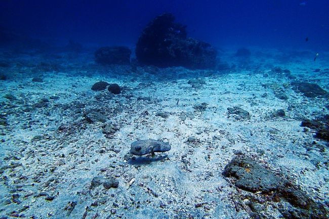波が強くて白砂がどこまでも続いている。