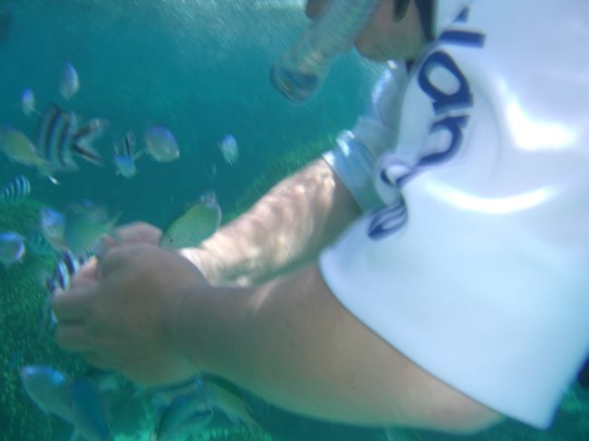 お魚つぶしてるんじゃないですよ。エサをやってるんです!(^^)!