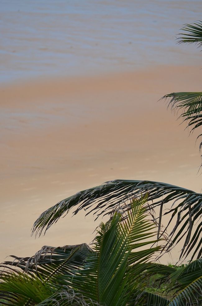 同じく、部屋のベランダから撮った一枚。綺麗な浜辺です。