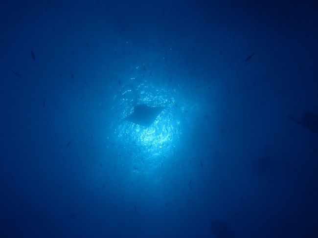 水底からだから遠いけどマンター！！