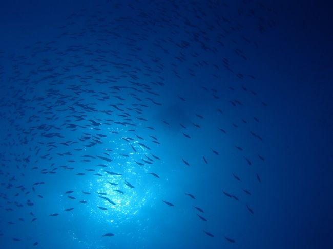 こちらもマンター！！