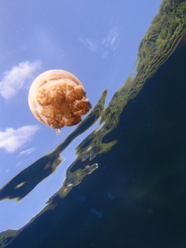 なかなか珍しいアングルなのかな？？