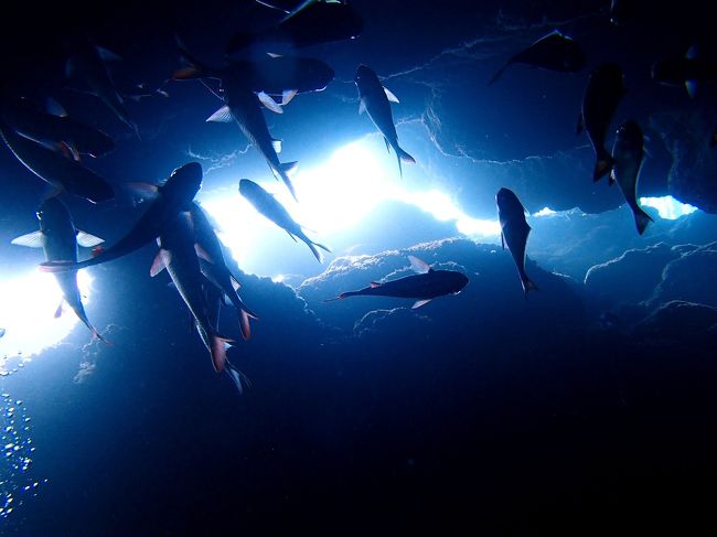 前半は小雨とか降ってたけど後半は天気良くて最高でしたぁ！