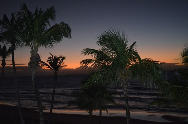 夜明けの浜辺です。