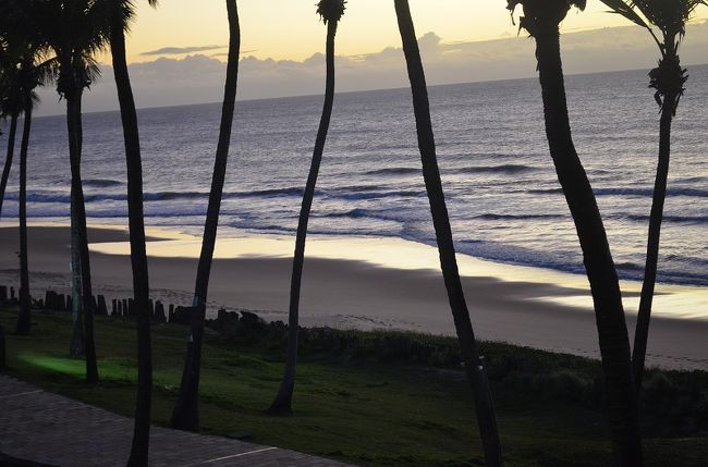 夜が明けました。