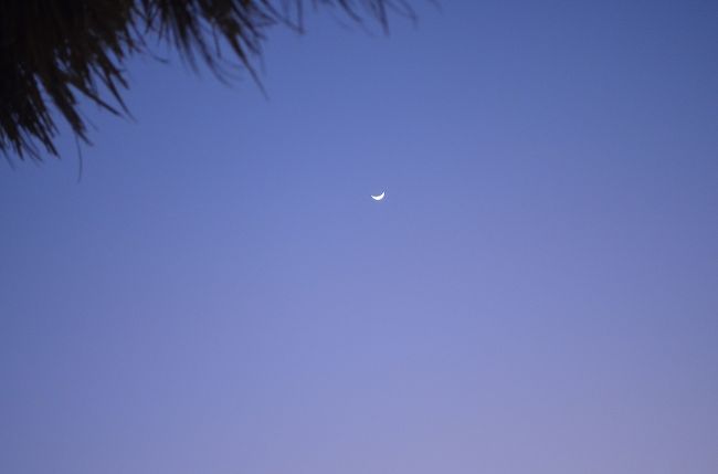 青い空に三日月です。