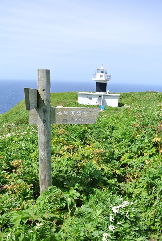 礼文島 桃岩展望台コーストレッキング 礼文島 北海道 の旅行記 ブログ By うめさん フォートラベル 礼文島 桃岩展望台コーストレッキング 礼文島 北海道 の旅行記 ブログ By うめさん フォートラベル