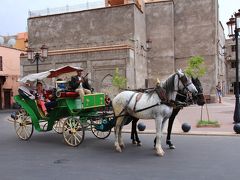 メディナは広いので、ご覧のような観光用の馬車が走っており、また狭い路地では運搬用に多くのロバが使われていました。