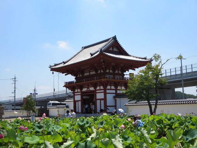 南大門と蓮