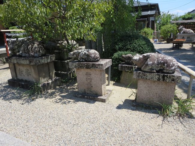 こちらには、たくさんの臥牛さんたちが(^o^)／