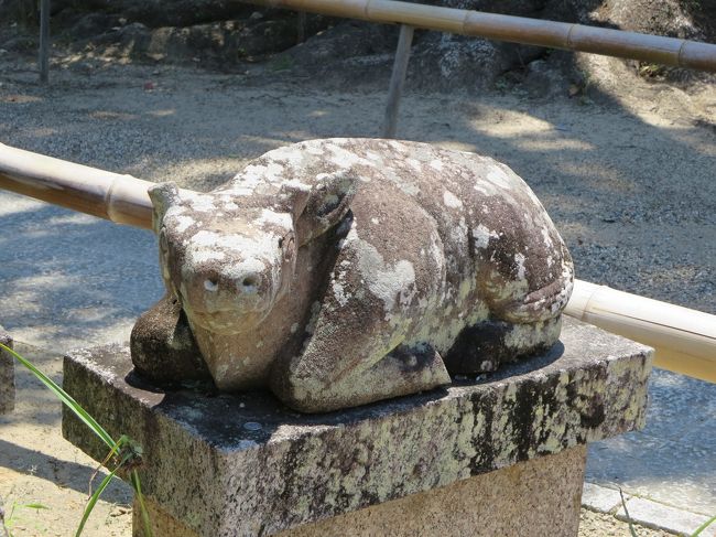 一体一体、違うのがいいですね！