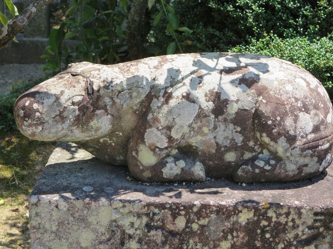 なんだか、ユーモラスで可愛らしいです。