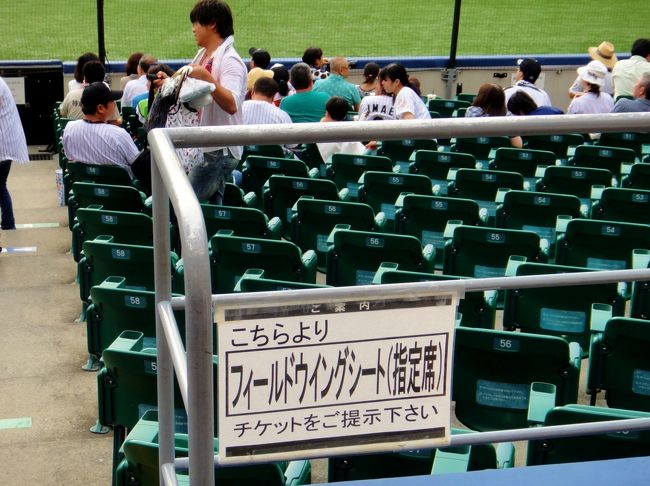 ZOZOマリンスタジアム 千葉ロッテvsオリックス フィールドウィング ...