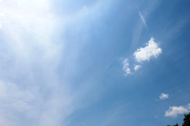 そうだ 京都、歩こう。~三十三間堂と法住寺にお参りしたら、麩屋町と富小路を歩く~