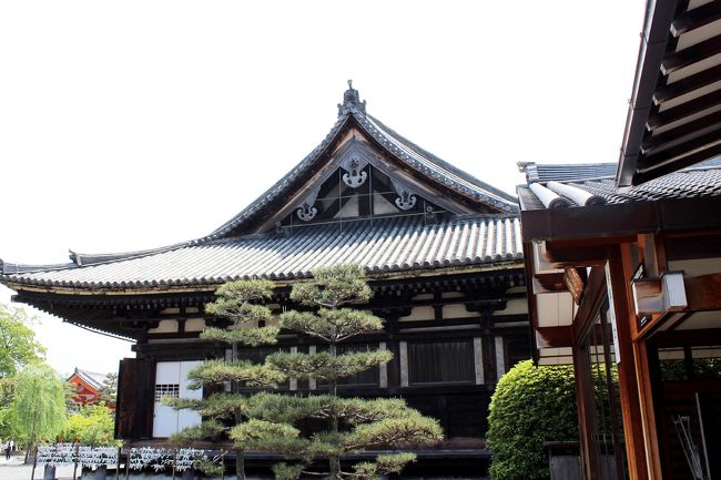 お守り セット 金閣寺 清水寺 三十三間堂 御守 お寺 神社 グッズ