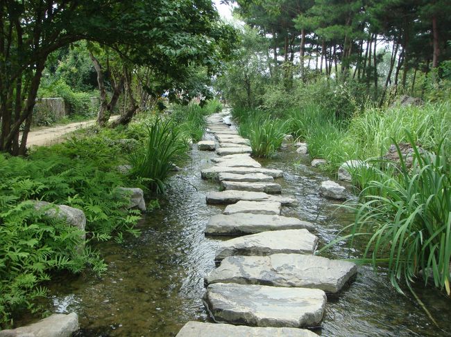 気温はどんどんあがってますが、少し涼を感じます。