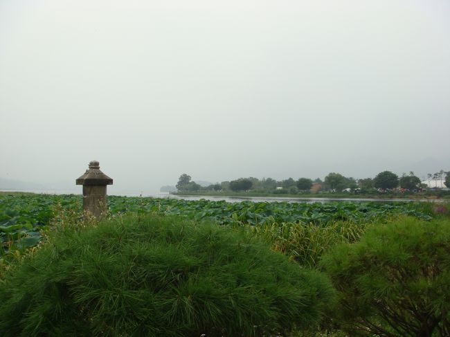 道に沿って進んでいきます。