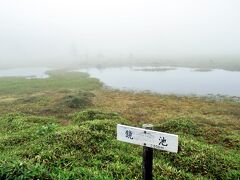 標高2,000ｍの「鏡池」・・・天気が良ければ、水面に写る山の景色が楽しめるそうですが、この霧では・・・