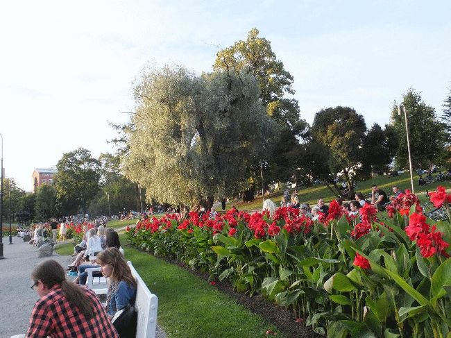 　仮設のホーム上で待っていたのは最初は2〜3人であったが、次第に増え、19時27分発の列車が入線してくる頃には20人くらいになった。彼らを乗せ、列車はタンペレへ戻っていった。<br />　タンペレの市内では、よくわからないがイベント（お祭り？）をやっているようで、各所で仮設ステージが設けられロックや民族音楽の生演奏が行われていた。人出も多く、皆片手にビールやその他のアルコールを手にしている。<br />　賑やかな雰囲気の中で私もあれこれ散策していたが、20時半を過ぎてからコンビニに行ってビールを3本買った。というのも、法律により21時以降はアルコールの販売が禁止されているからである。川沿いまで行ってベンチに座り、昨日のチキンの余りをツマミにして一杯やり始めた。<br /><br />＠全員呑んでいる