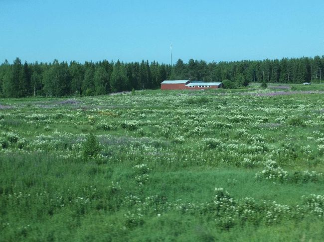　駅へと戻り、9時30分発のヘルシンキ行のICに乗り込んだ。ここからタンペレまで、8時間半近い道程である。<br />　普通の旅行者からすれば、「せっかく夜行列車でここまで来て、たった2時間の滞在で戻るなんて」と思われるであろうが、これが鐡旅なのである。ただ、斯く言う私も、昼間の列車に8時間半も乗りっぱなしというのはあまり経験がなく、若干「修行」に近いものを感じなくもない。かなり昔に、特急「白鳥」で青森から京都まで乗ったことがあるが、それ以来の長時間移動かもしれない。<br />　エキストラの車内に入ったが、指定された席（一昨日に買った指定席）は進行方向と逆向きであった。とりあえずそこに荷物だけ置き、車両後方の席へ移動した。列車は、9時33分に出発した。<br />　修行といっても、景色が綺麗で晴れていれば、苦痛ではない。<br /><br />＠のんびりと