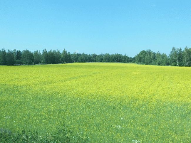 　することもないので、駅舎の方や列車の先頭の方まで歩いてみたが、それでもまだ時間が余っている。<br />　同駅を12時58分に出発したが（出発時刻は比較的正確である）、次のオウライネンは4分の早着であった。その次のユリヴィエスカこそほぼ定刻だったものの、その次のカンヌスはまたしても11分の早着であった。元の時刻設定が大雑把過ぎるのかもしれないが、まったくもって原因不明である（そもそも、そんなことを気にするのは日本人だけ、特に時刻表に精通しているような一風変わったほんの一部の人間だけ、なのかもしれないが）。<br /><br />＠景色が綺麗なので、そのうち時刻も気にならなくなる？