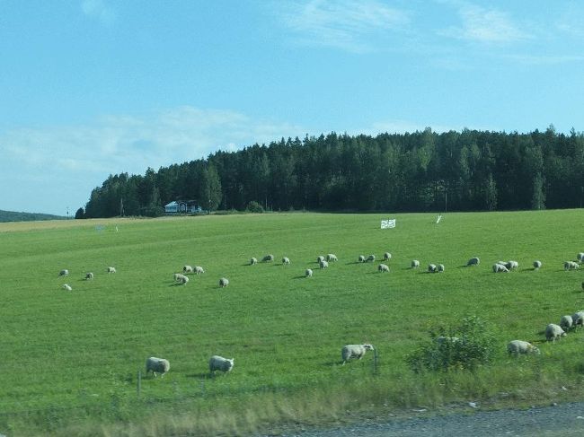 　9時01分にトゥルクを出発した。景色はこれまでのように北欧的ではあるが、若干違う感じもする。やはりフィンランドにしては「南の方」ということもあり、森林の植生が異なっている感じがする（白樺類が少ない気がする）。また地形の違いもあるためか、牧草地が多く、これまでまったく見ることのできなかった牧羊も目にすることができた。どことなく、北海道やニュージーランドに近い感じがする。<br /><br />＠あくまでも「気がする」ですが